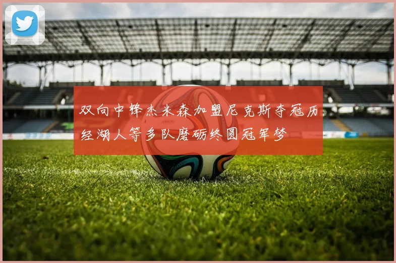 双向中锋杰米森加盟尼克斯夺冠历经湖人等多队磨砺终圆冠军梦